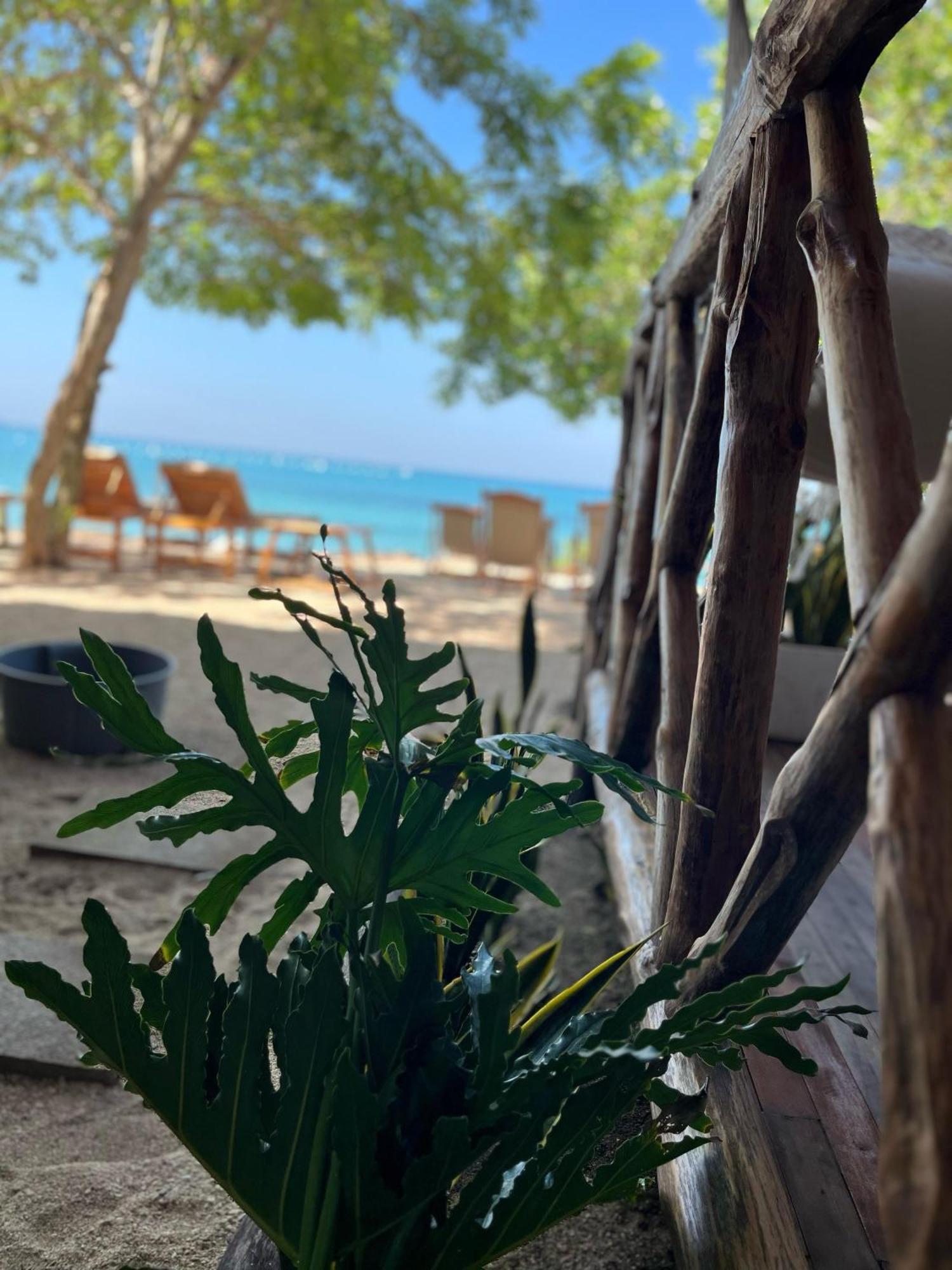 Thani Ecobeach Baru Playa Blanca Eksteriør billede